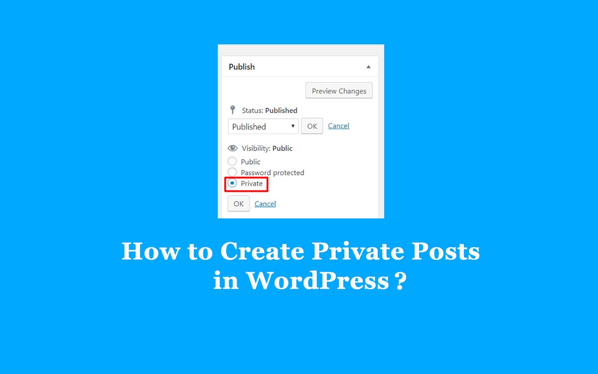 create a private posts in WordPress