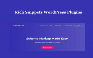 Best Rich Snippets WordPress Plugins