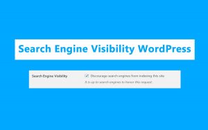 Search Engine Visibility