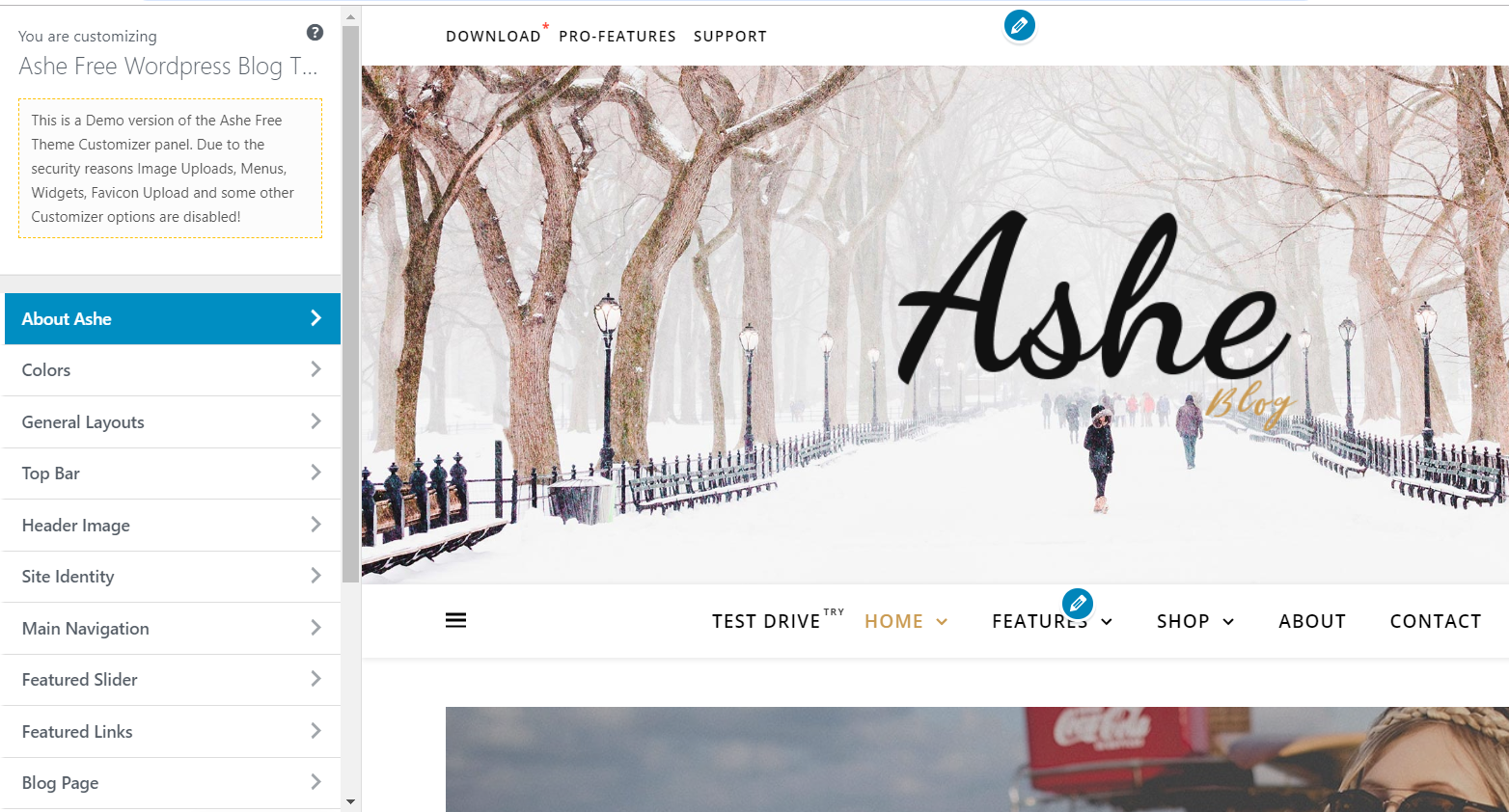 Free WordPress blog themes