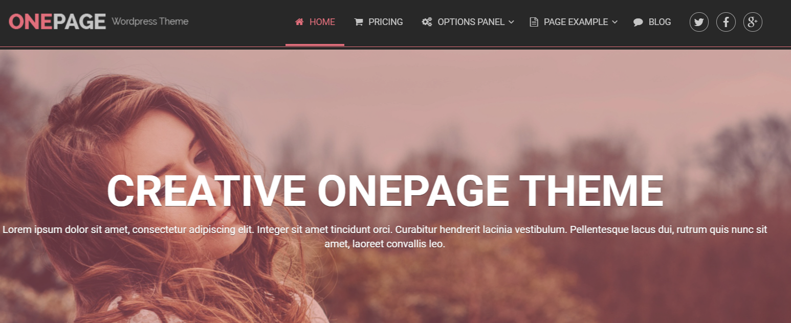 best one page wp theme