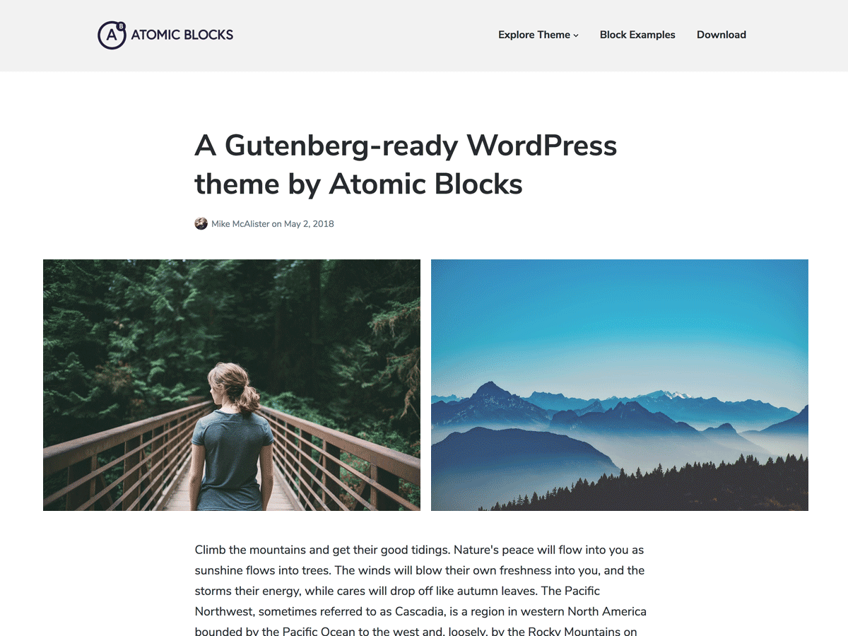 Gutenberg WordPress Themes