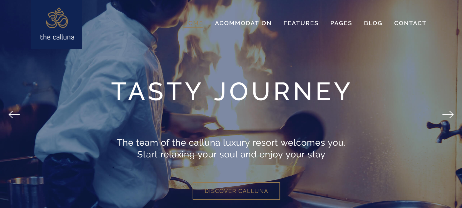 Best hotel WordPress Themes