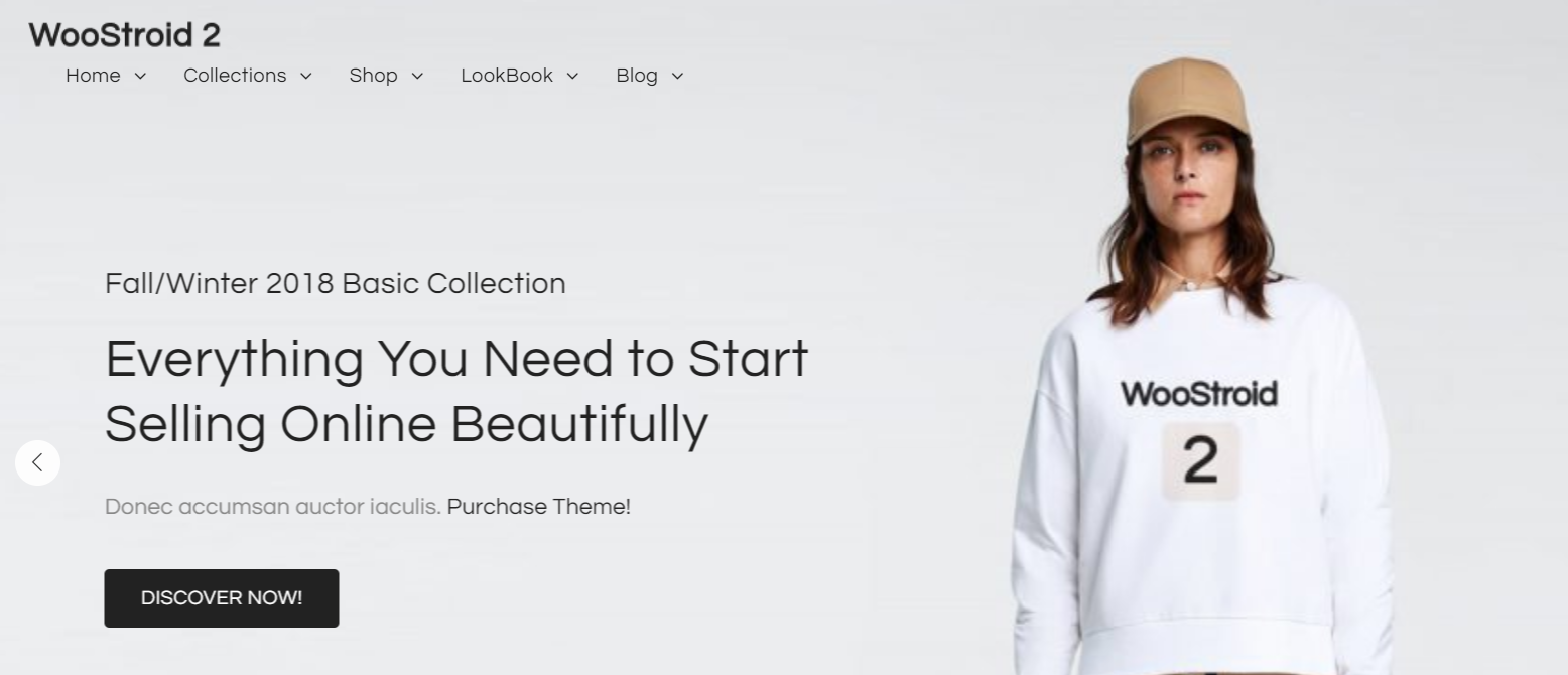 woocommerce WordPress themes